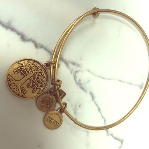 Alex and Ani Bracelet